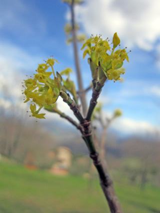 f0234936_17192030.jpg