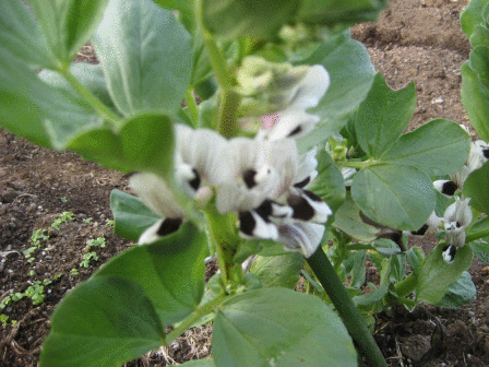 e0255638_204073.gif