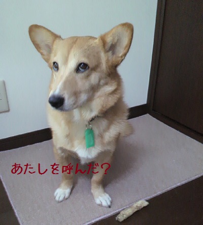 d0169340_11214722.jpg