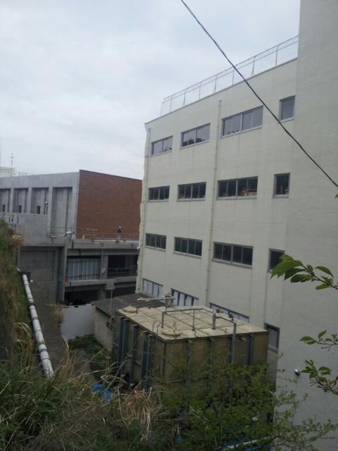 d0075741_117040.jpg