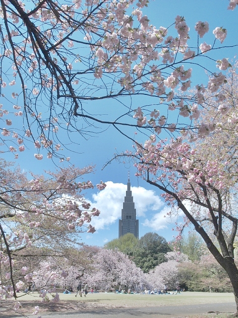 b0122448_1626511.jpg