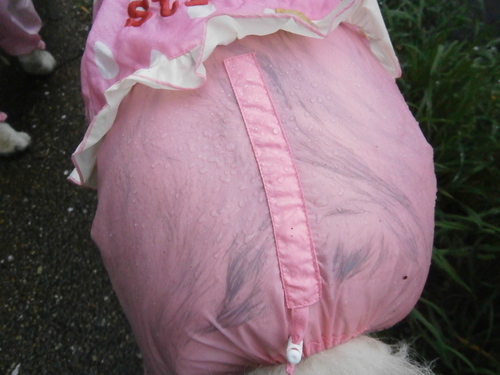 e0121548_20554270.jpg