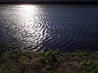 b0022951_22115958.jpg