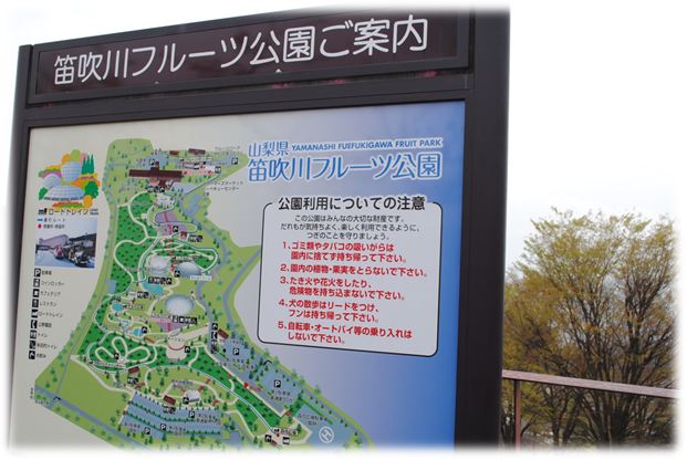 b0242873_1114085.png