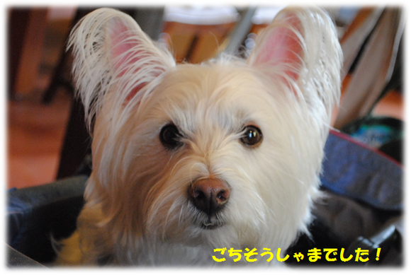 b0242873_937287.png