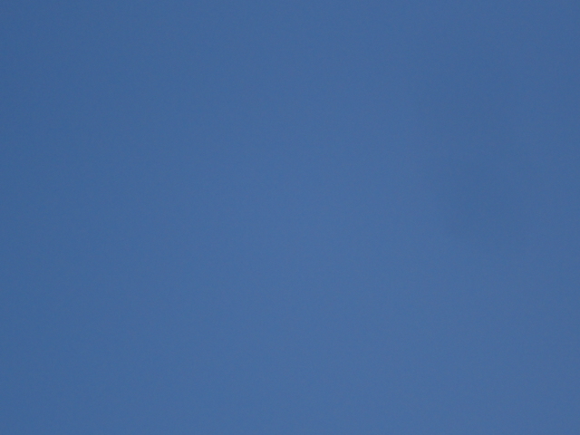 d0109373_17562859.jpg