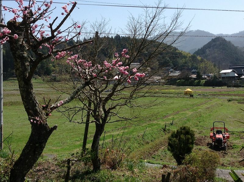 b0042882_155434100.jpg