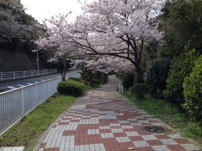 f0275885_23295875.jpg