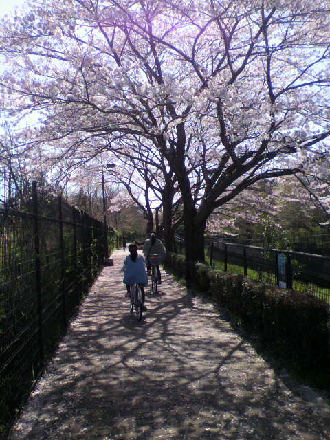 b0257387_21364610.jpg