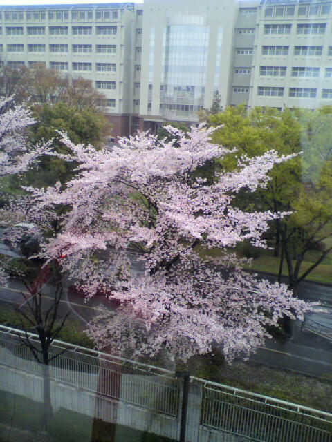 b0257387_21364613.jpg