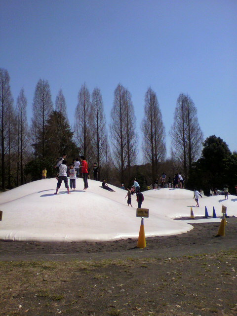 b0257387_21364643.jpg
