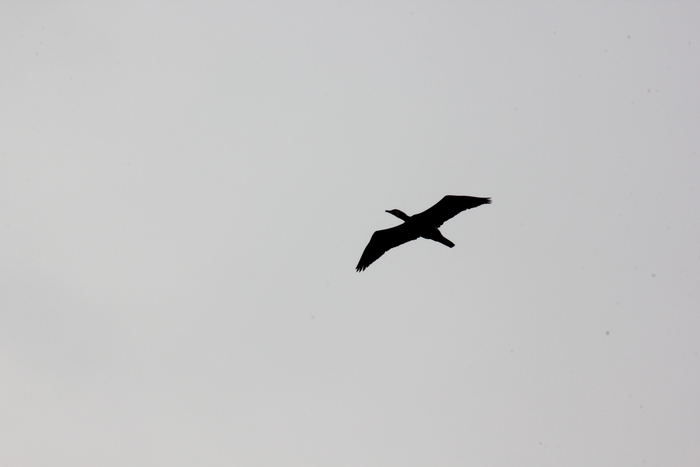 a0127090_21164640.jpg