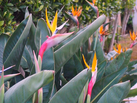 f0121591_2543213.jpg