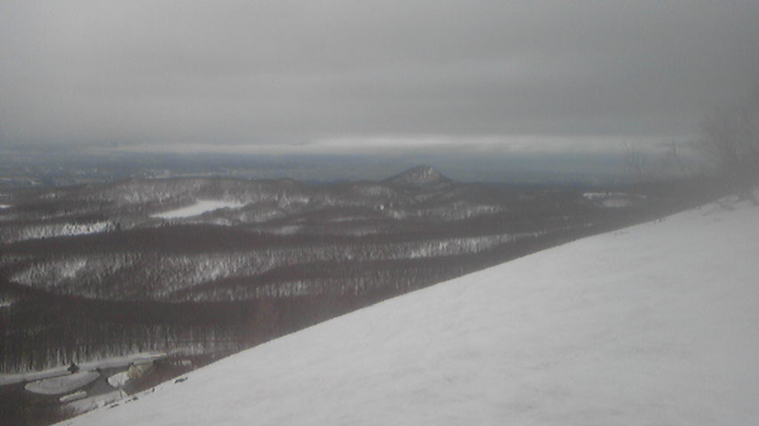b0017892_99157.jpg