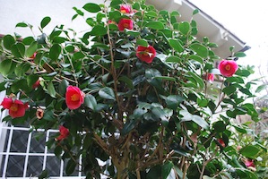 c0189894_18323948.jpg