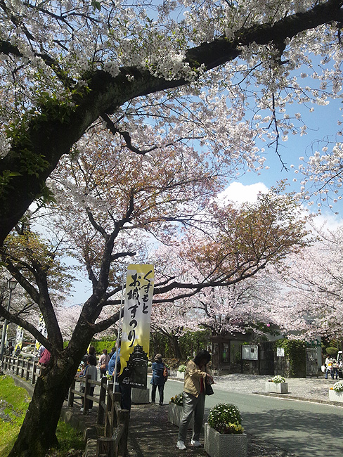a0112595_0202100.jpg
