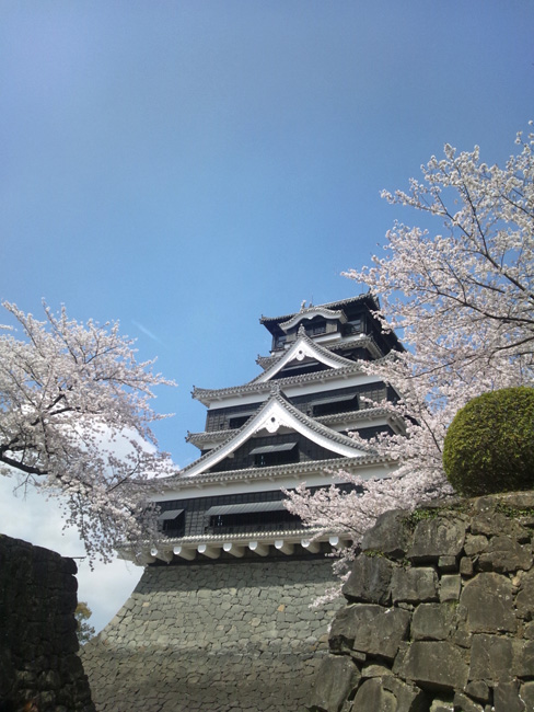 a0112595_0203676.jpg