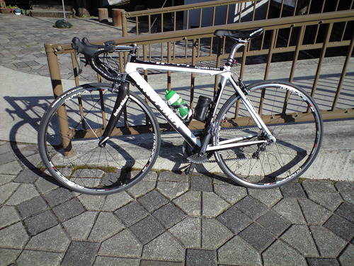 a0143296_1452712.jpg