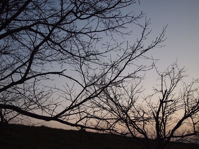 c0250197_22143477.jpg