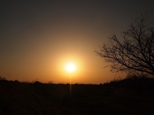 c0250197_2275216.jpg