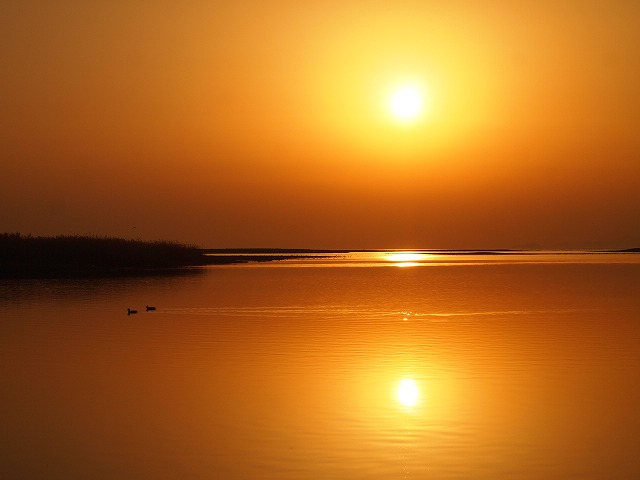 c0250197_229552.jpg
