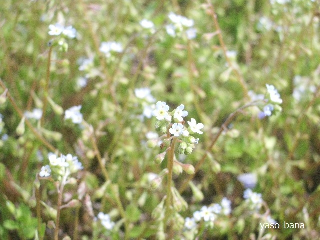 e0025300_17461916.jpg