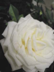 e0206902_2214117.jpg