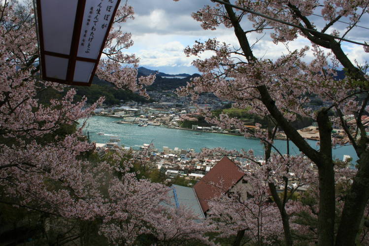 f0031304_7335528.jpg