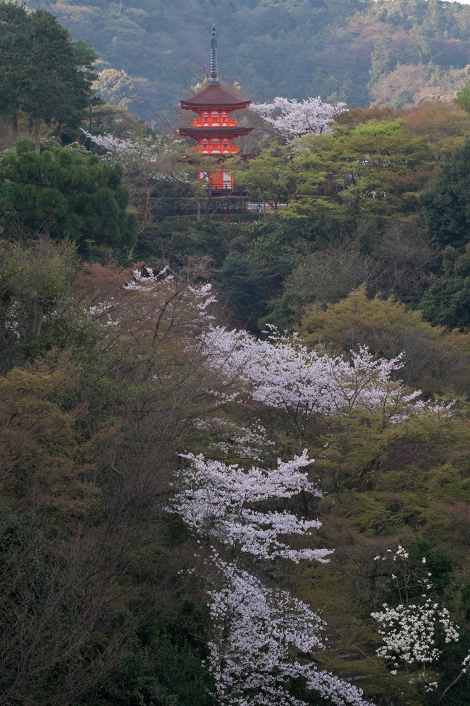 b0221605_21334441.jpg