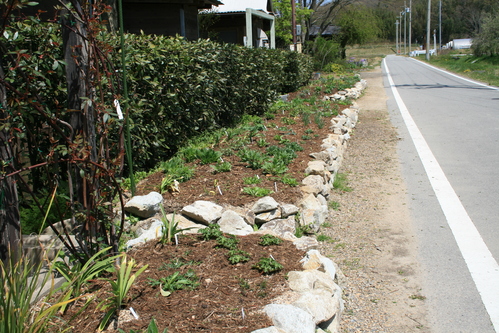 a0139007_13293775.jpg