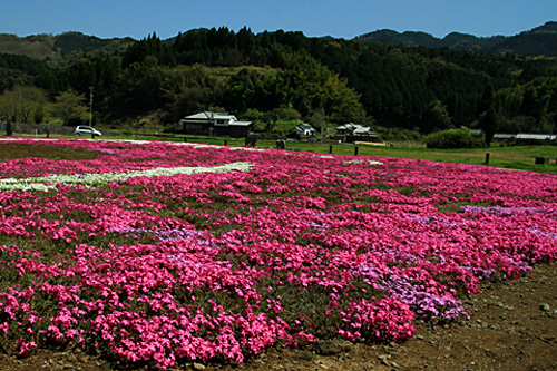b0014607_20464589.jpg