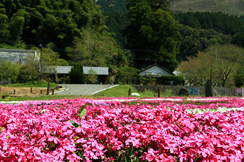 b0014607_20465990.jpg