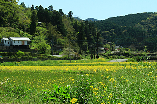 b0014607_20473954.jpg