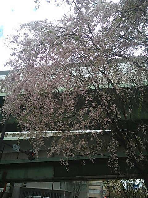 c0152507_462159.jpg