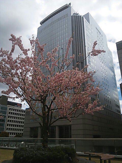 c0152507_471663.jpg