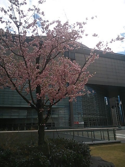 c0152507_473810.jpg