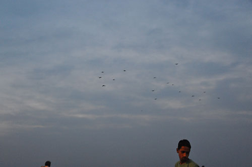 a0278809_1455577.jpg