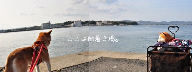 e0005411_1151242.jpg