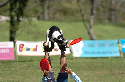 e0121418_2032840.jpg