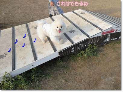 b0167519_23173954.gif