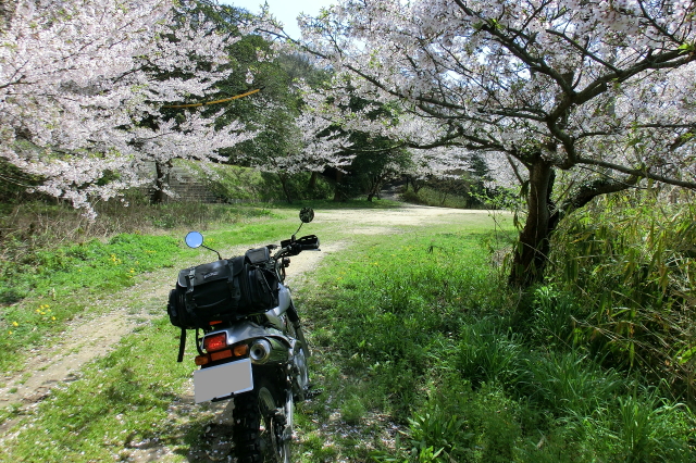 f0248120_19294149.jpg
