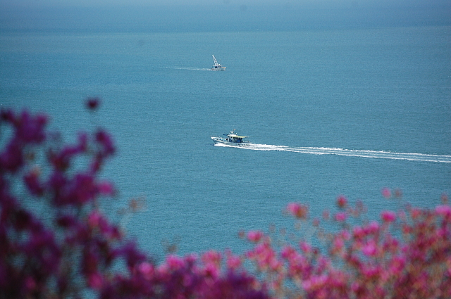 f0248120_19312859.jpg