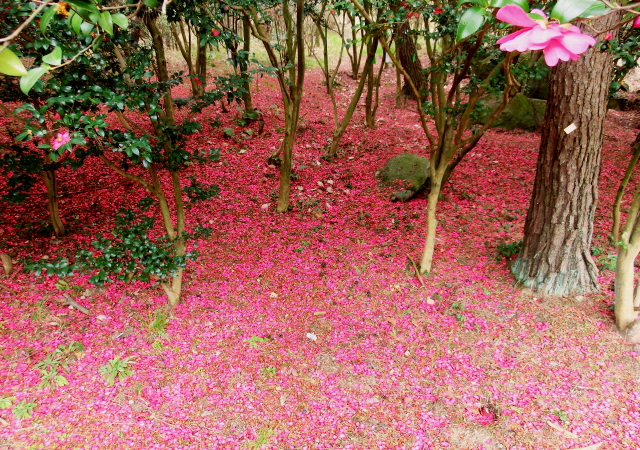 f0248120_23594782.jpg
