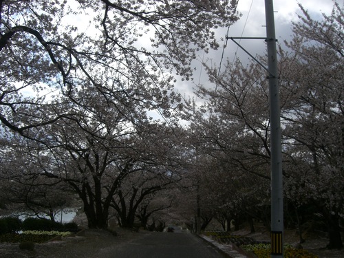 c0265521_654564.jpg