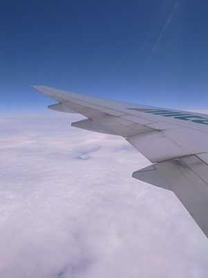 d0098022_1110336.jpg