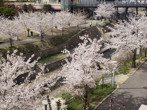 a0160325_15371537.jpg