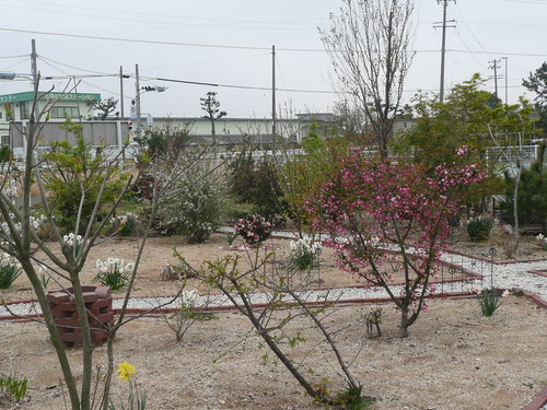 c0009528_2385697.jpg