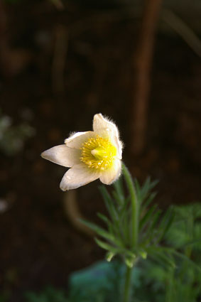 c0227728_20211092.jpg