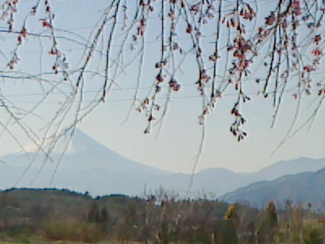 e0016828_9301457.jpg