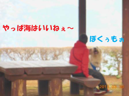 f0176830_21342746.jpg